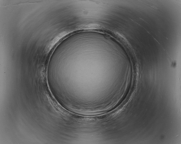 X0000116131457200912141057