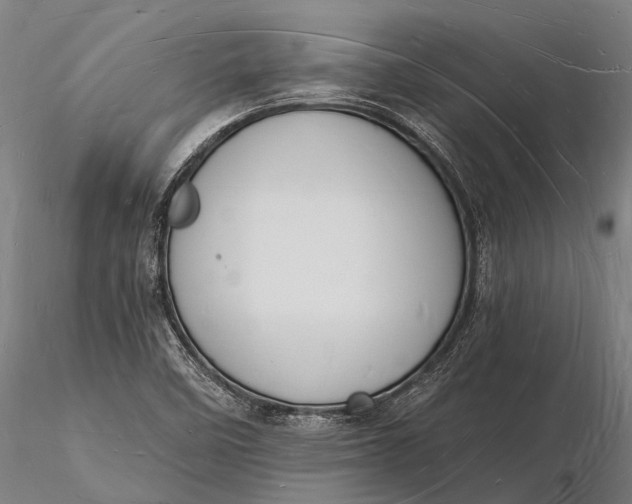 X0000116131458200912141057