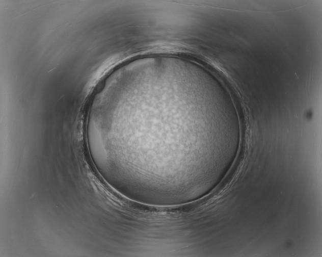 X0000116131459200912141057