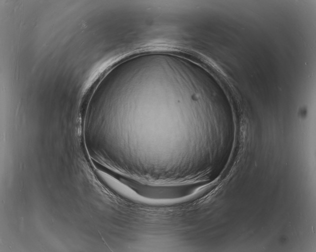 X0000116131461200912141057