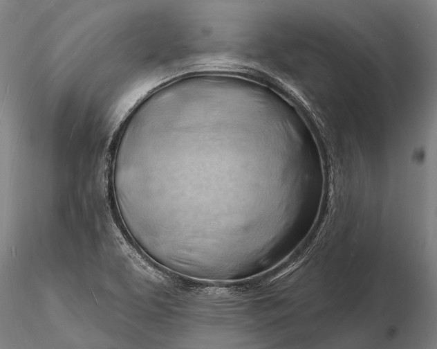 X0000116131463200912141057