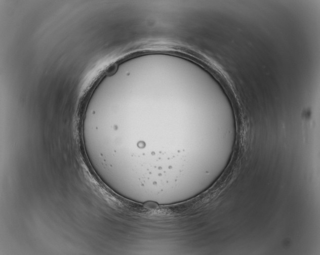 X0000116131464200912141057