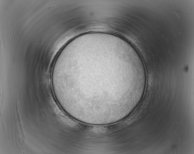 X0000116131466200912141057