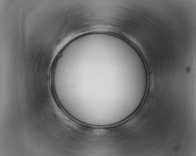X0000116131467200912141057