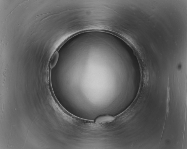 X0000116131468200912141057