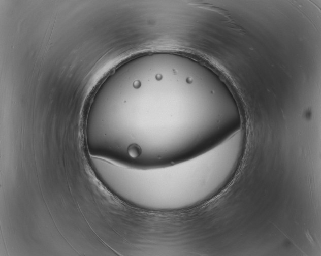 X0000116131469200912141057