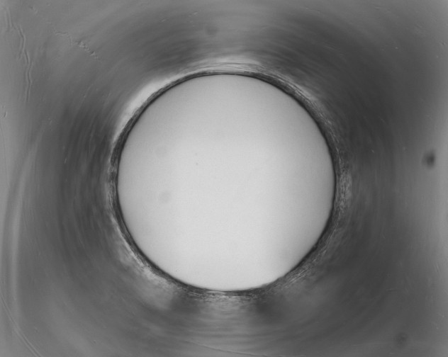 X0000116131470200912141057