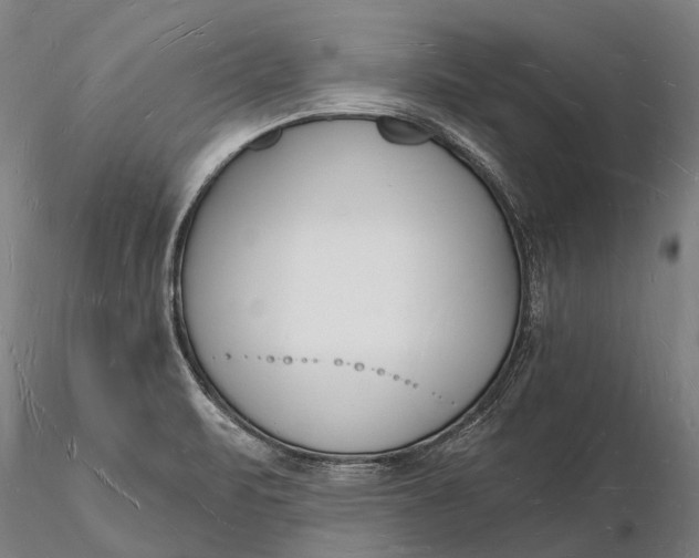 X0000116131471200912141057