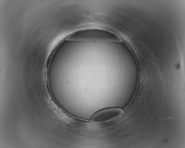 X0000116131472200912141057