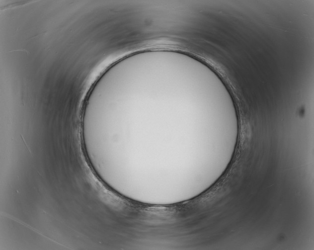 X0000116131478200912141057