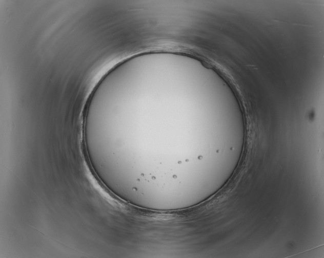 X0000116131479200912141057