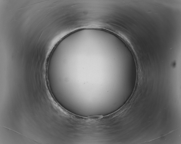 X0000116131480200912141057