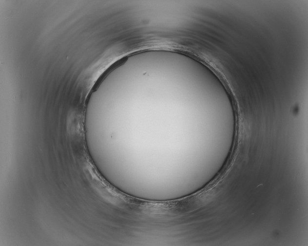 X0000116131481200912141057