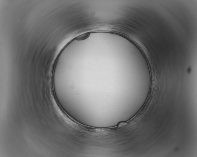 X0000116131483200912141057