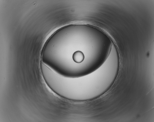 X0000116131484200912141057