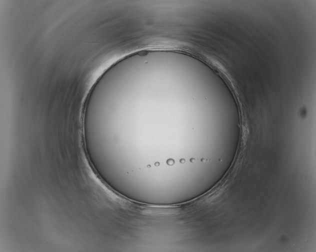 X0000116131487200912141057