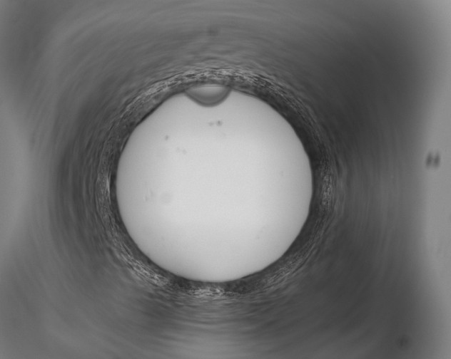 X0000116131489200912141056