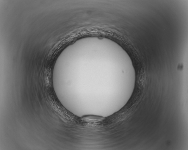 X0000116131490200912141056
