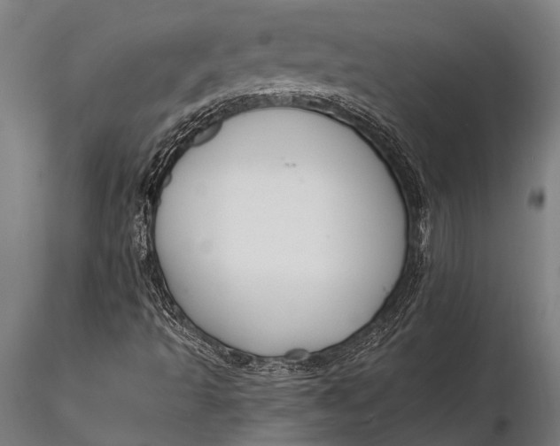 X0000116131493200912141056
