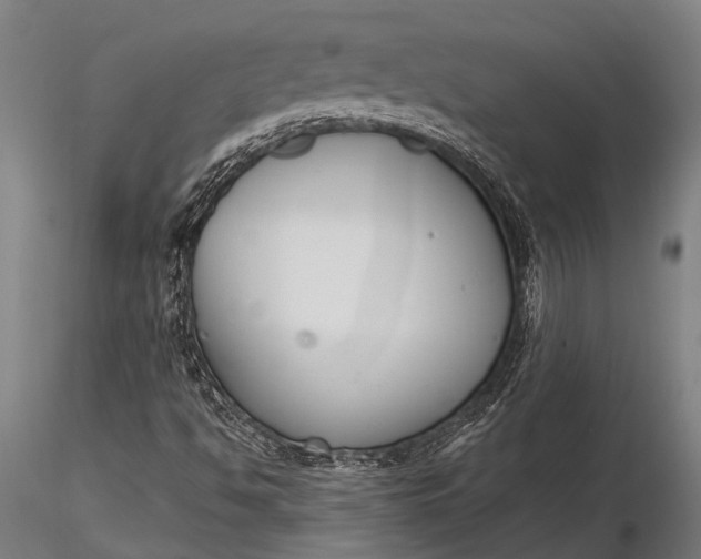 X0000116131494200912141056