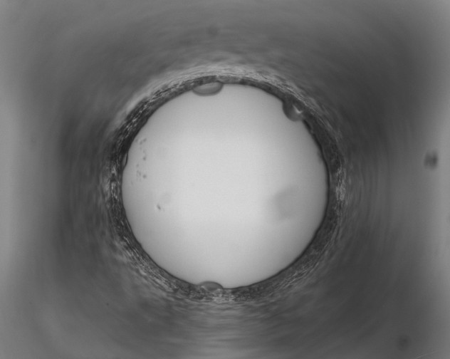 X0000116131495200912141056