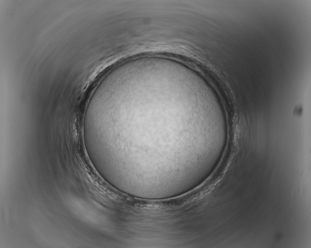 X0000116131497200912141056