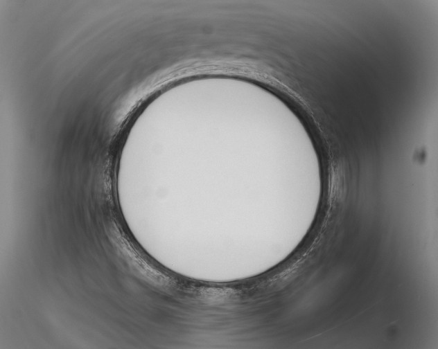 X0000116131498200912141056