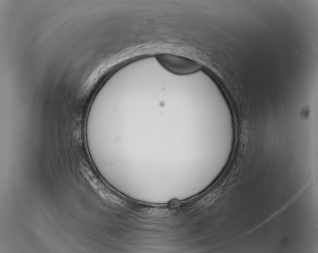 X0000116131499200912141056