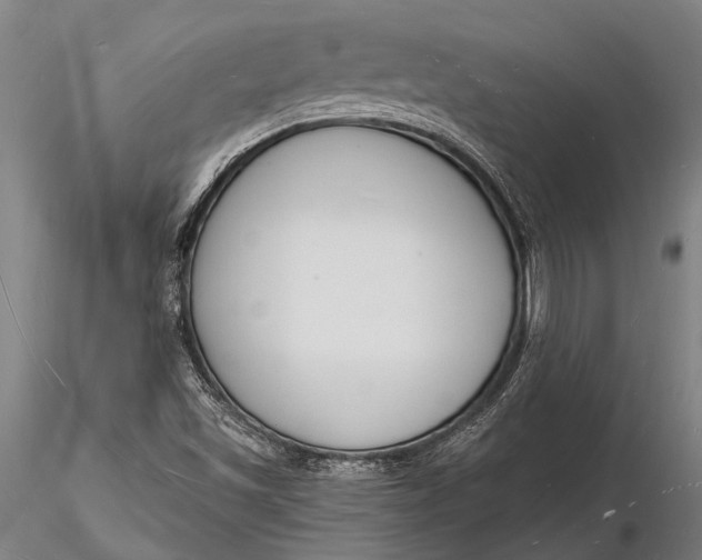 X0000116131501200912141056