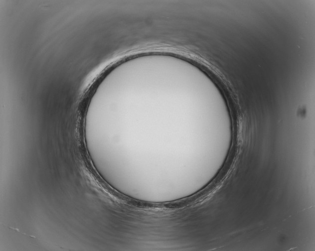 X0000116131502200912141056