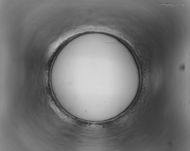 X0000116131503200912141056