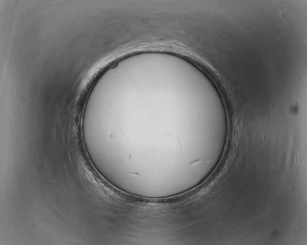 X0000116131506200912141056