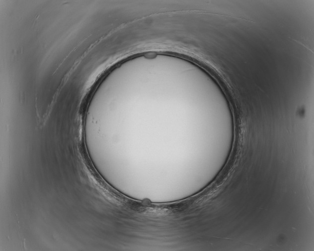 X0000116131509200912141056
