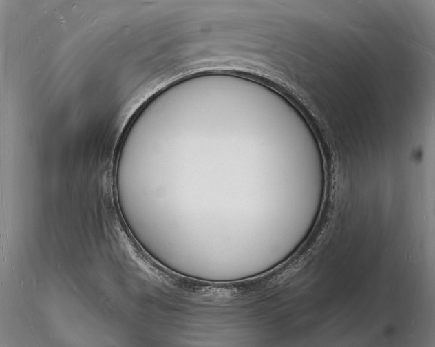 X0000116131513200912141056