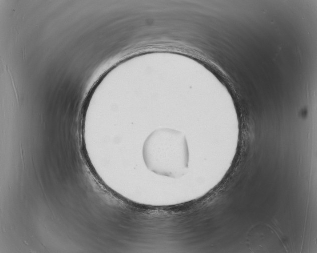 X0000116131514200912141056