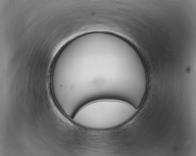 X0000116131518200912141057