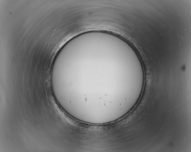 X0000116131521200912141057