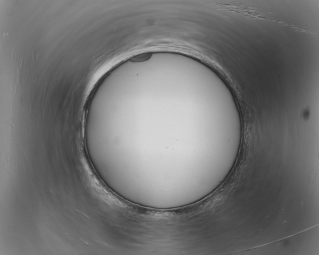 X0000116131522200912141057