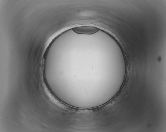 X0000116131526200912141057