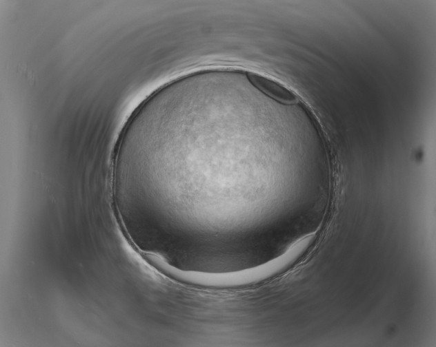 X0000116131527200912141057
