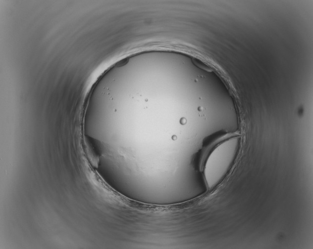 X0000116131530200912141057
