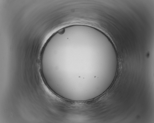 X0000116131531200912141057