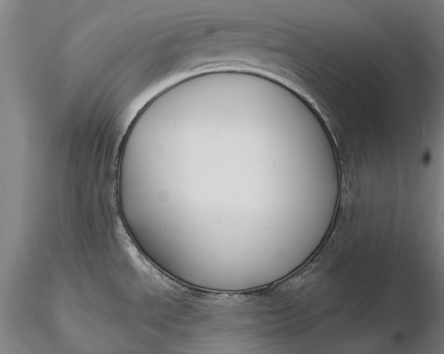 X0000116131534200912141057