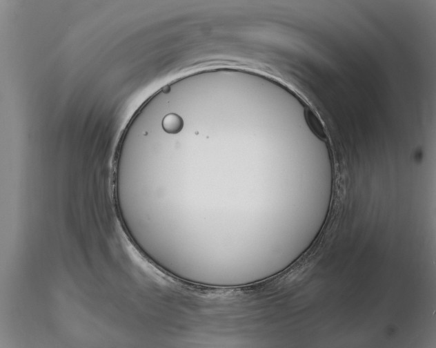 X0000116131535200912141057