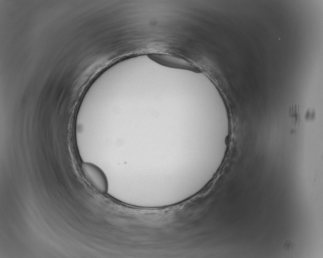X0000116130001200912211725