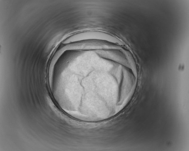 X0000116130002200912211725