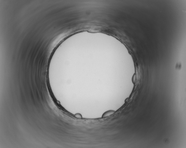X0000116130003200912211725