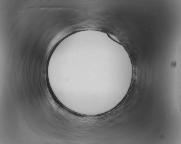 X0000116130004200912211725