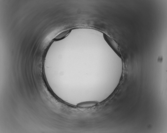 X0000116130005200912211725