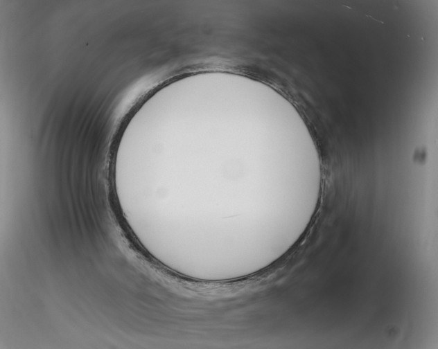X0000116130006200912211725